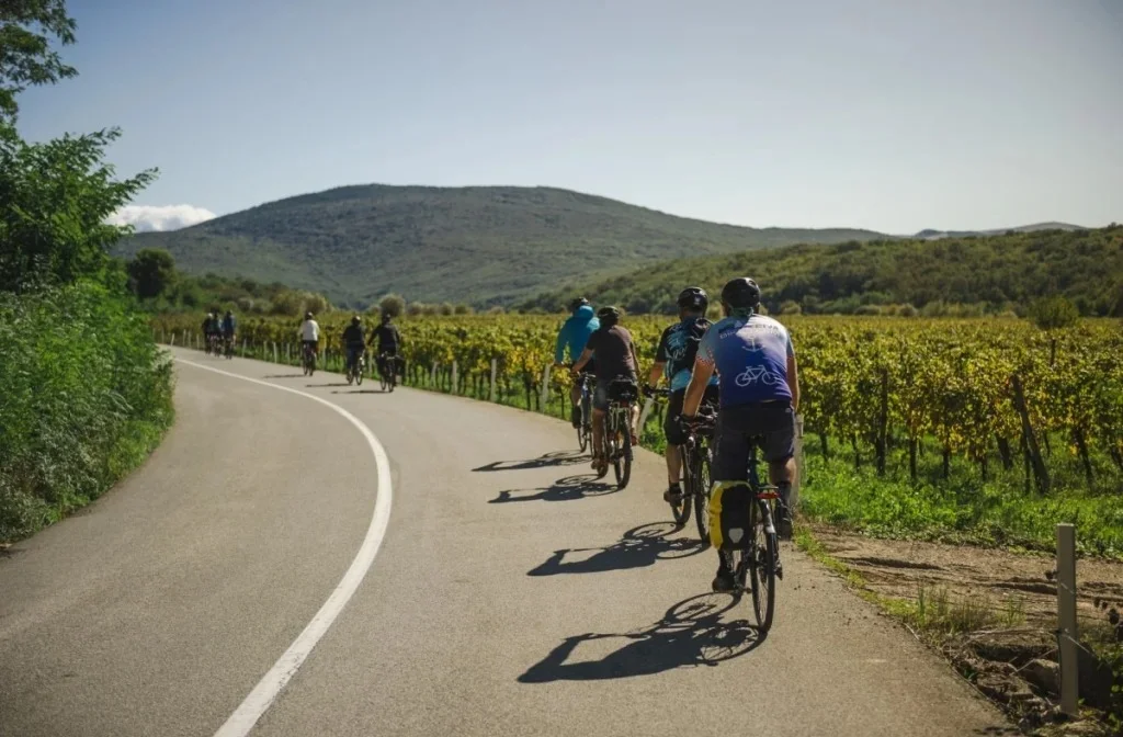 Schiff Kroatien Bike Weinberg