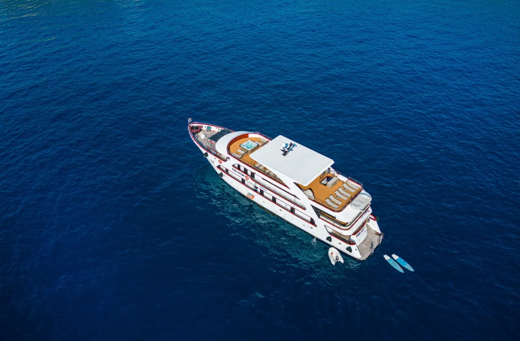 Schiff Equator Aussenansicht Von Oben