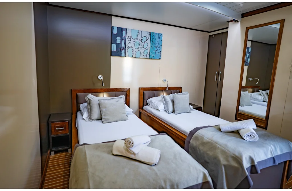 Schiff President Kabine Auf Hauptdeck Twinbett Spiegel Bild