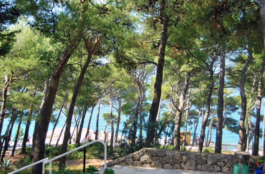 Blue Sun Hotel Marina Brela Baum Strand