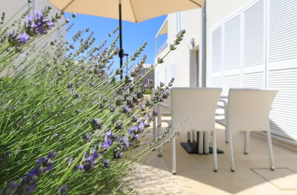 Kroatien Dalmatien Zadar Petrcane Sunnyside Appartments Erdgeschoss Terrasse Lavendel