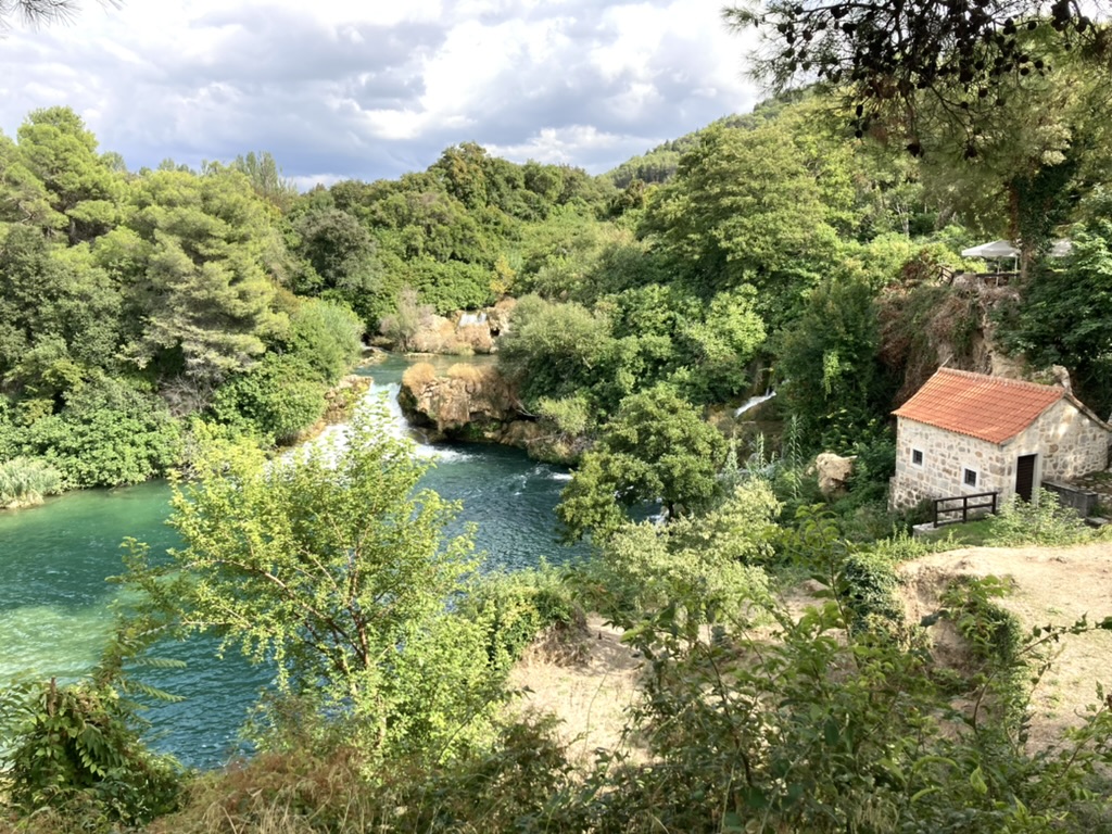 Dschungel auf kroatisch